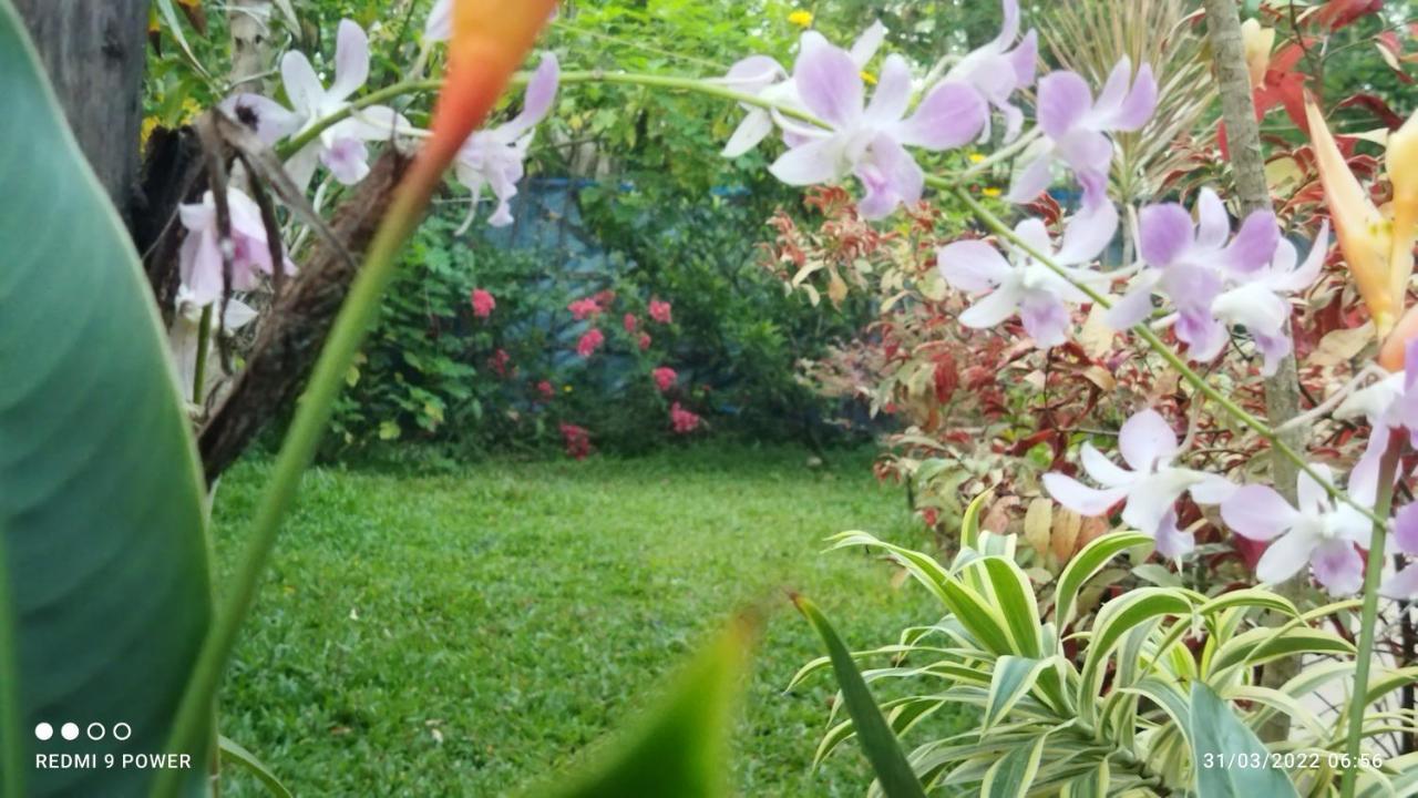 Homestay Marari Sabari